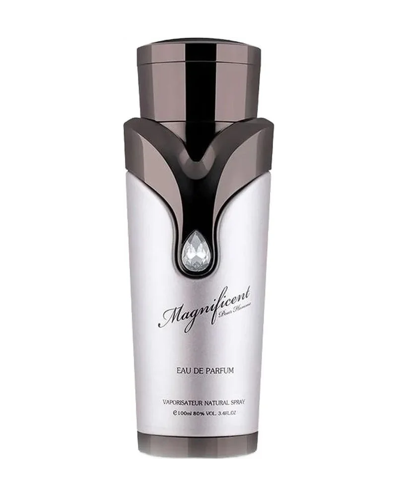Magnificent pour Homme Blu
