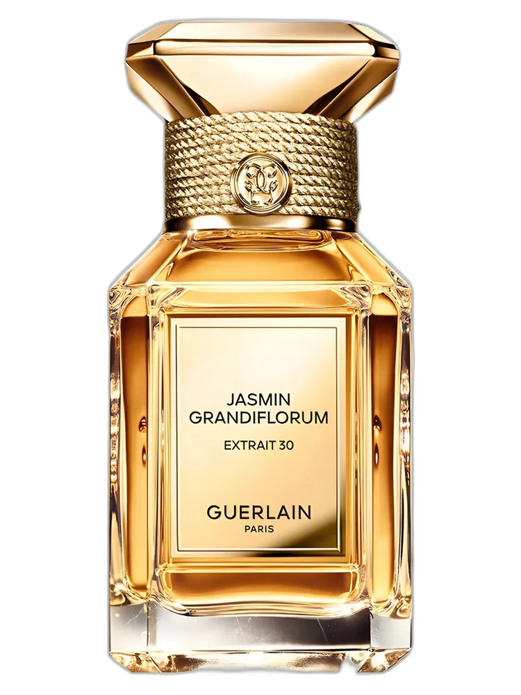 Jasmin Grandiflorum 30