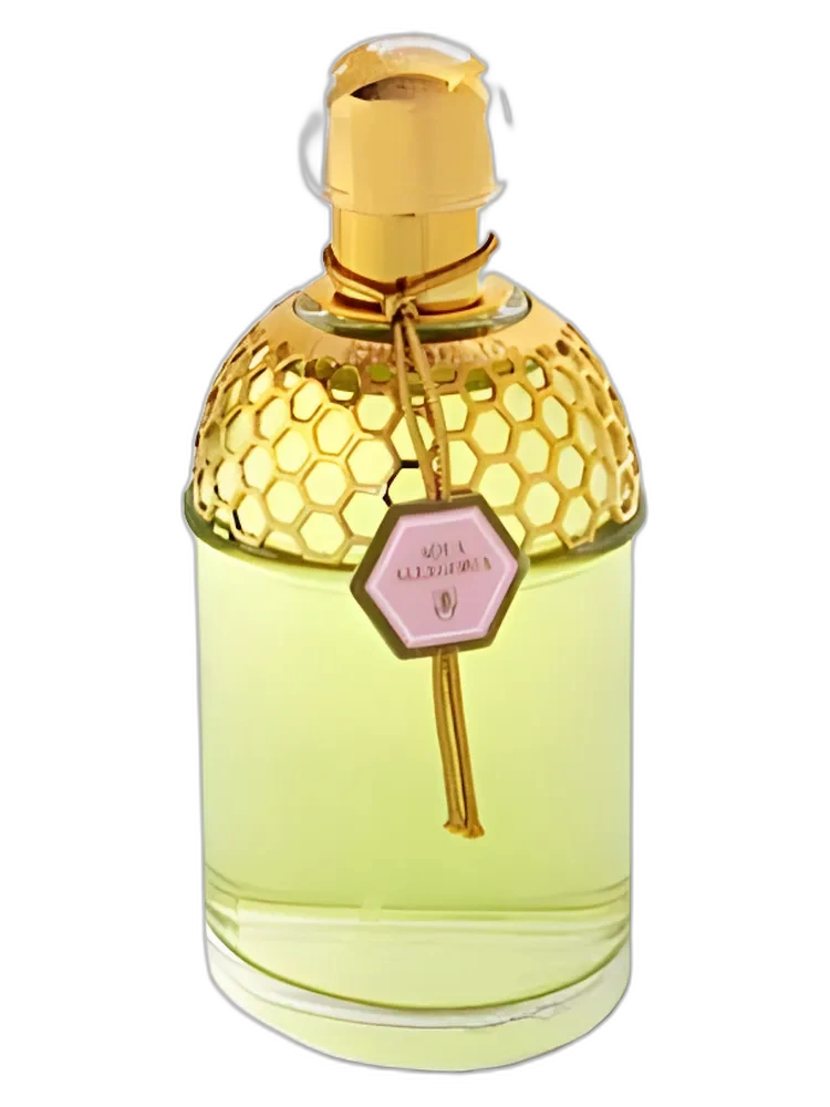 Aqua Allegoria Rosa Magnifica