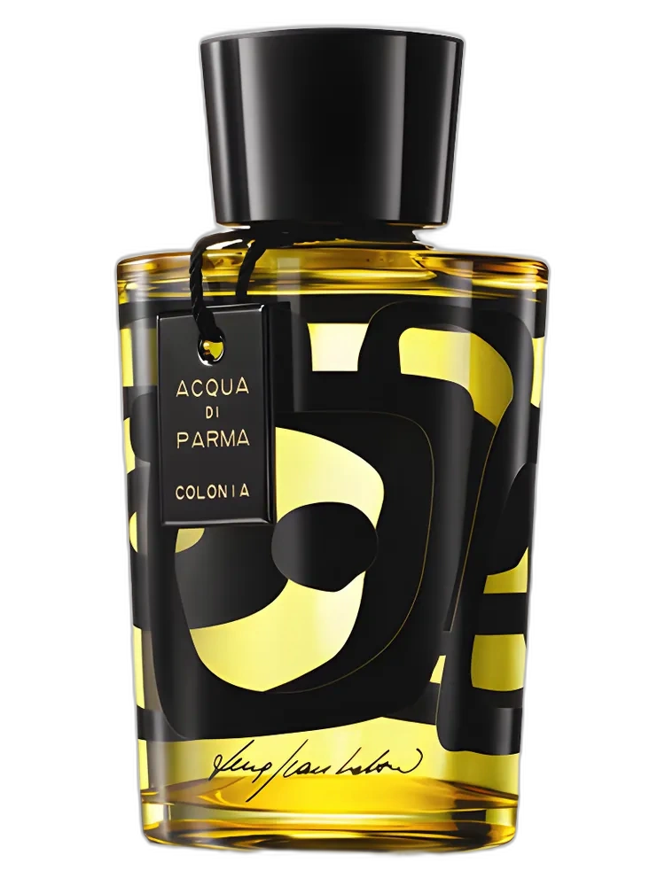 Colonia Designer Edition