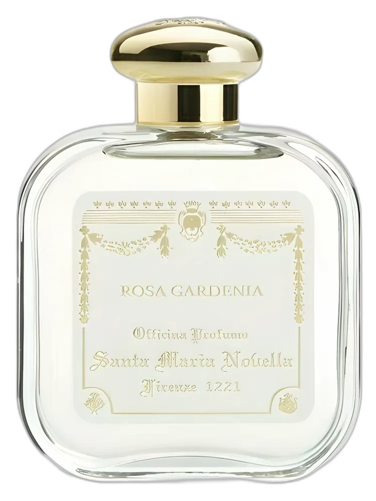 Rosa Gardenia