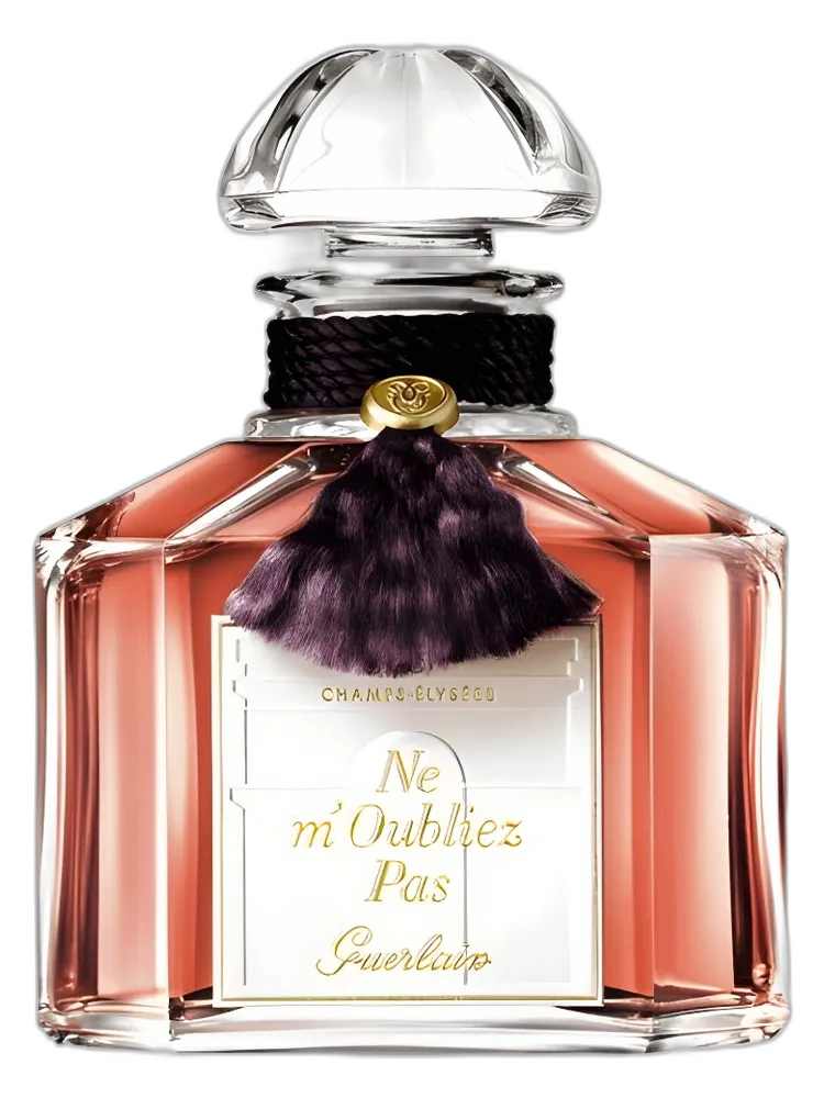 Ne m'Oubliez Pas