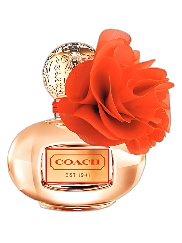 Poppy Blossom