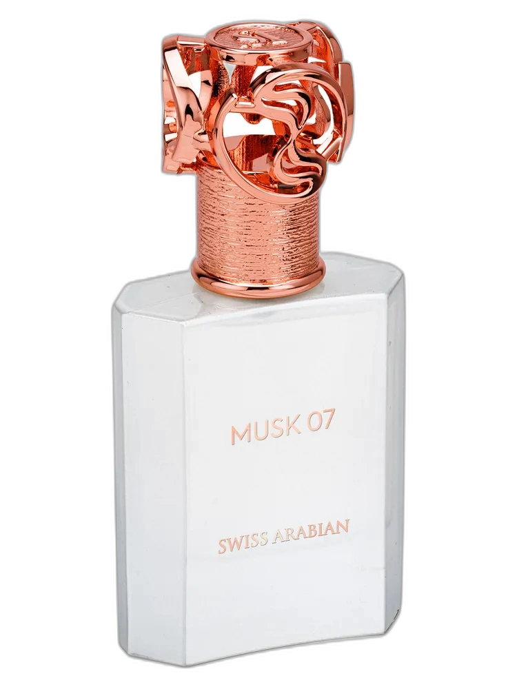 Musk 07