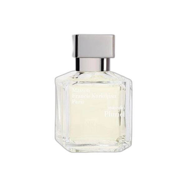 masculin Pluriel
