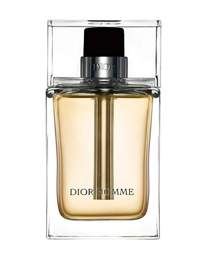 Dior Homme (2020)