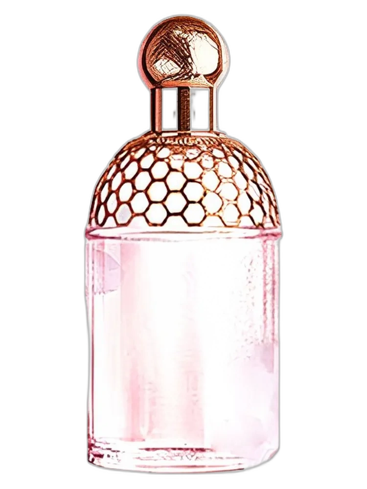 Aqua Allegoria Cherry Blossom